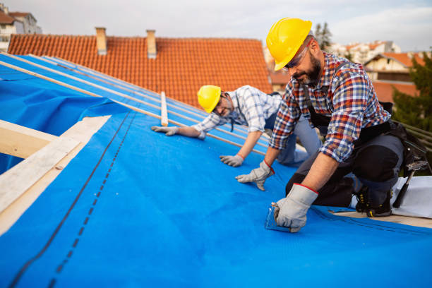Best Hot Roofs  in Carson City, MI