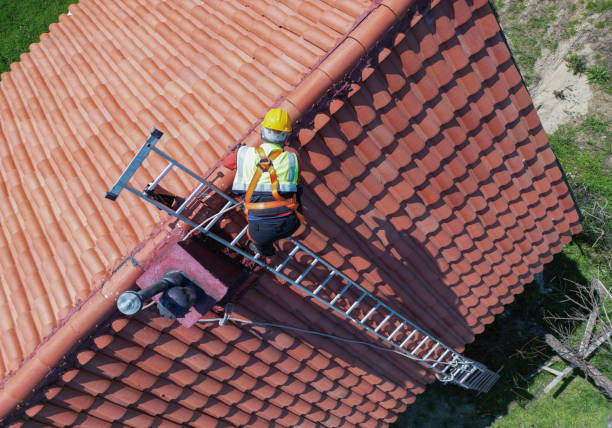 Best Roof Coating Services  in Carson City, MI