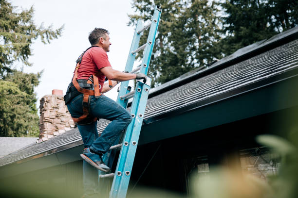 Fast & Reliable Emergency Roof Repairs in Carson City, MI