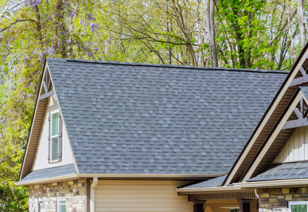 Best Roof Moss and Algae Removal  in Carson City, MI