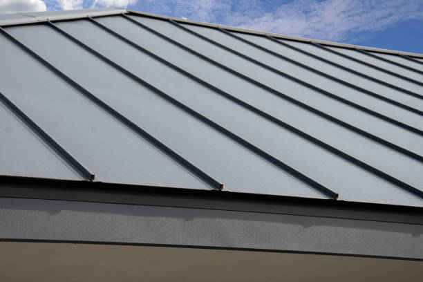 Best Flat Roofing  in Carson City, MI